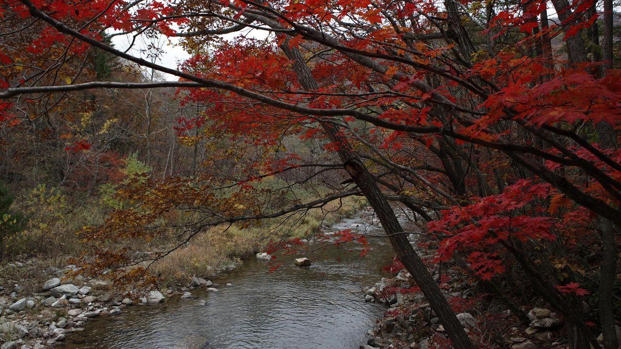 韓国地方旅行、韓国国立公園、智異山、周王山、雪岳山、韓国秋、韓国紅葉、五台山